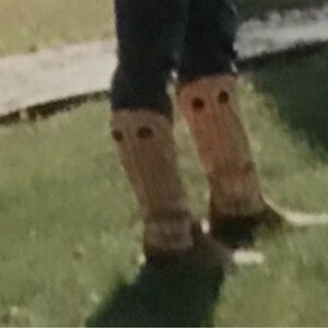 ISO Twisted X Buckaroo Boots Sz 7.5